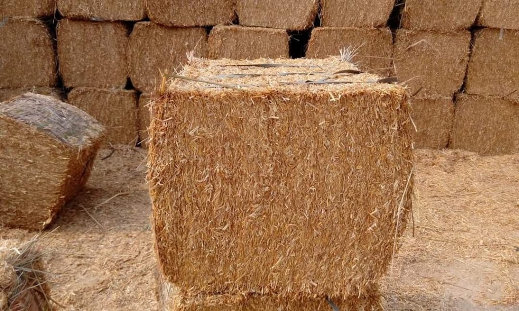 Sustainable rice husk briquettes