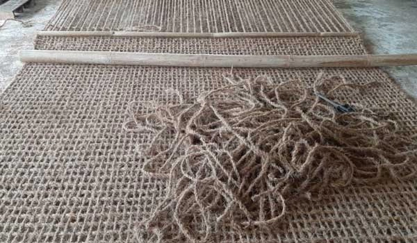 Proyek Cocomesh dalam Lomba Inovasi Lingkungan Pelajar