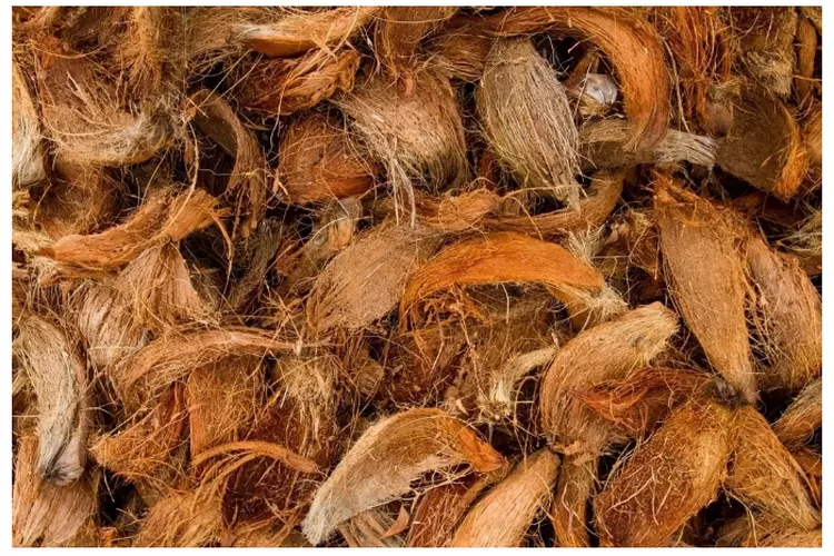 Alat Pembuat Serat Sabut Kelapa