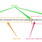 Analisis pola distribusi anchor text pada backlink sehat