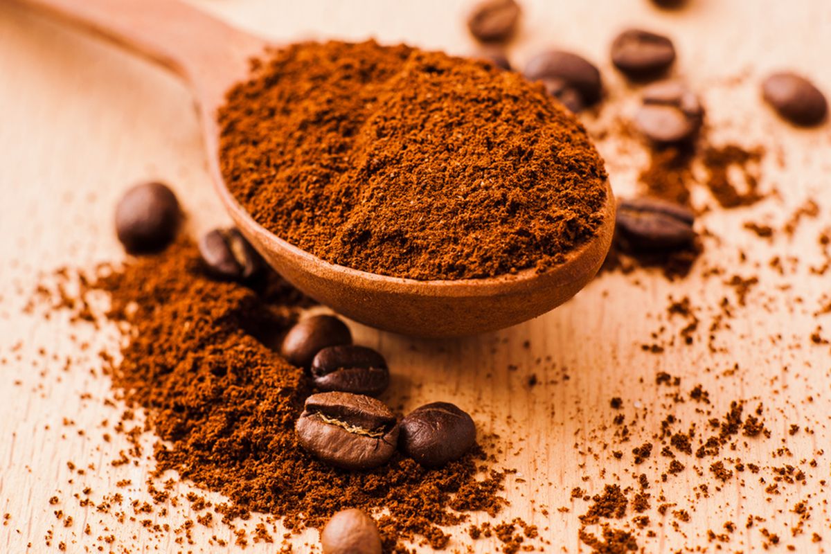 Proses Pengolahan Biji Kopi Berkualitas