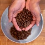 alat pengolah kopi kering