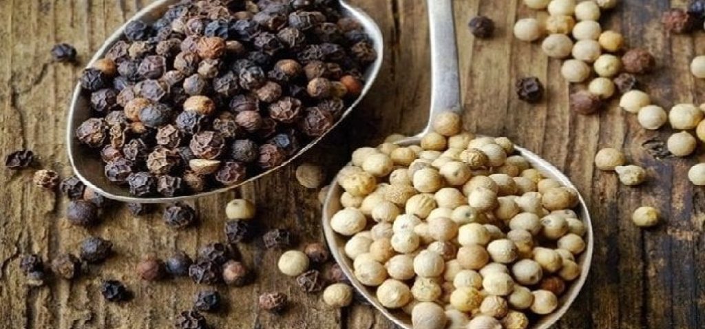 Peralatan Panen Lada Modern