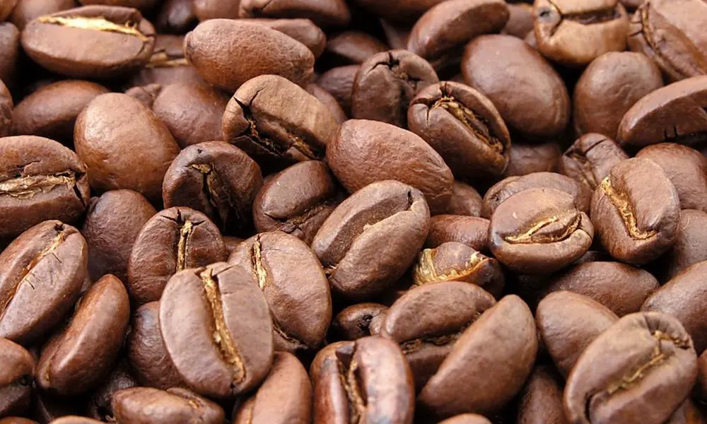 Keunggulan Mesin Pengupas Kopi Kering Solusi Cepat untuk Hasil Biji Lebih Bersih Dan Berkualitas