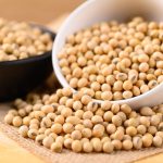 Alat Klecep Kedelai Praktis Usaha