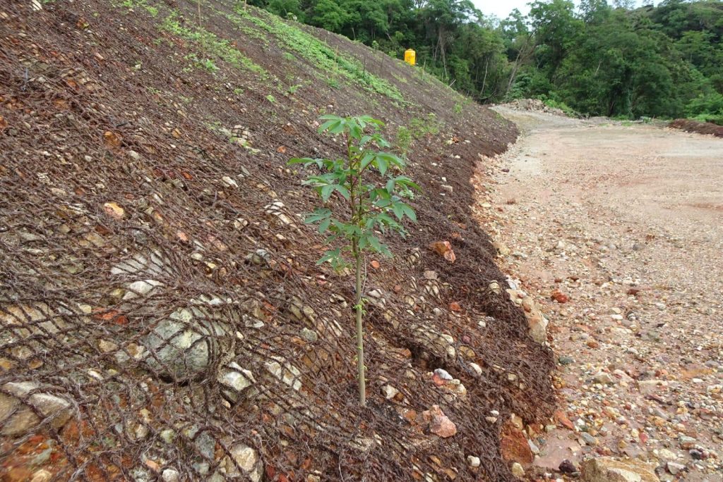 cocomesh-untuk-reklamasi-lahan-tambang
