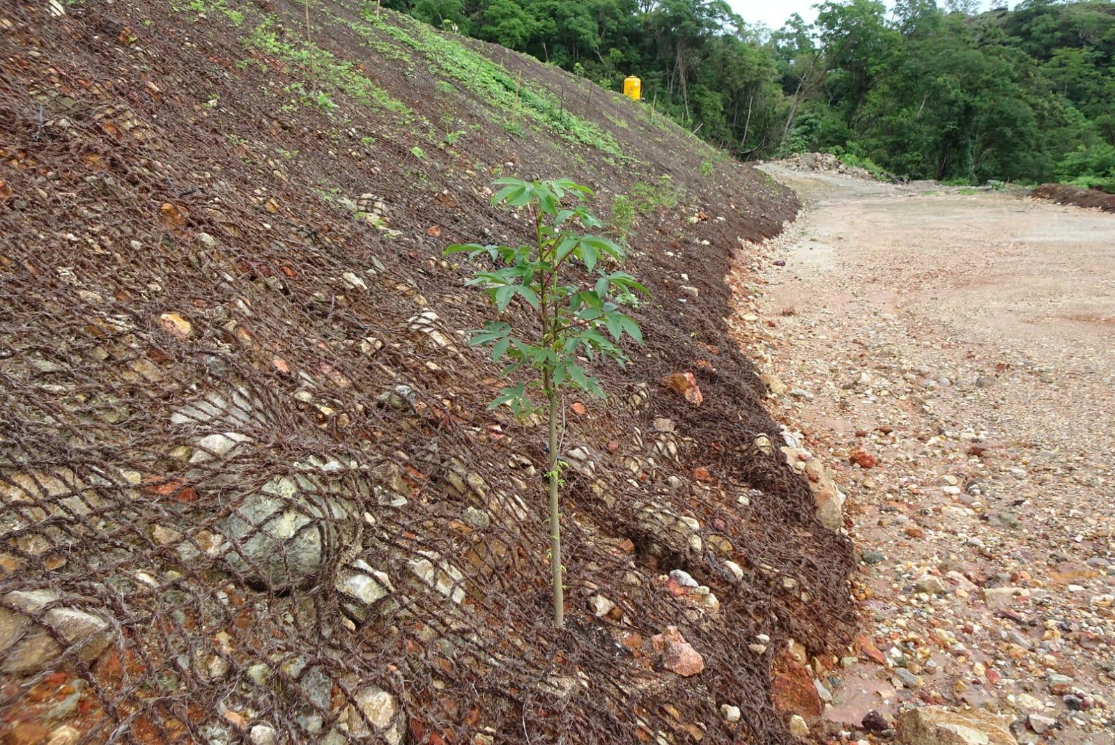 cocomesh-untuk-reklamasi-lahan-tambang