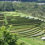 teknik-konservasi-tanah-topografi-curam