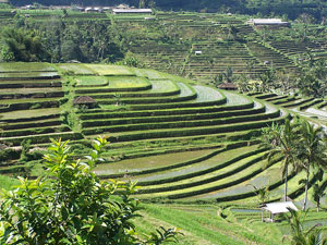 teknik-konservasi-tanah-topografi-curam