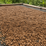 tips mengurangi kadar air kopi