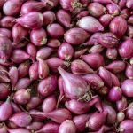pengolahan bawang untuk usaha