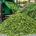 cara membuat pakan ternak fermentasi