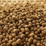 berapa protein ideal dalam pakan ikan