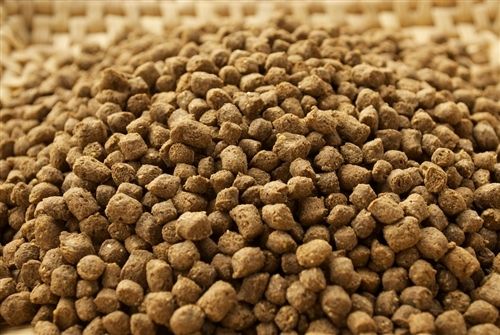 berapa protein ideal dalam pakan ikan