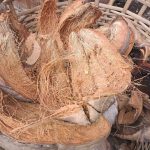 proses pembuatan genteng berbahan sabut