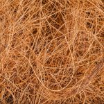 cara mengolah limbah kelapa bernilai jual