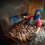 Teknik Pengawetan Ikan dengan Asap agar Mutu Tetap Terjaga