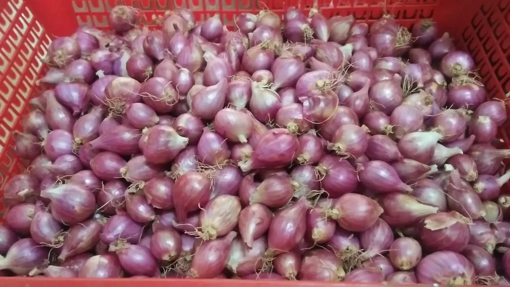 Cara Menyimpan Bawang Merah agar Awet dan Tidak Cepat Busuk