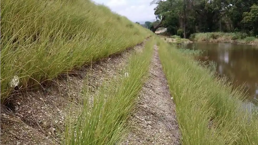 pengendalian erosi tepi sungai