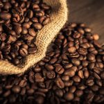 Cara Menyortir Biji Kopi Sebelum Disangrai agar Hasil Seragam