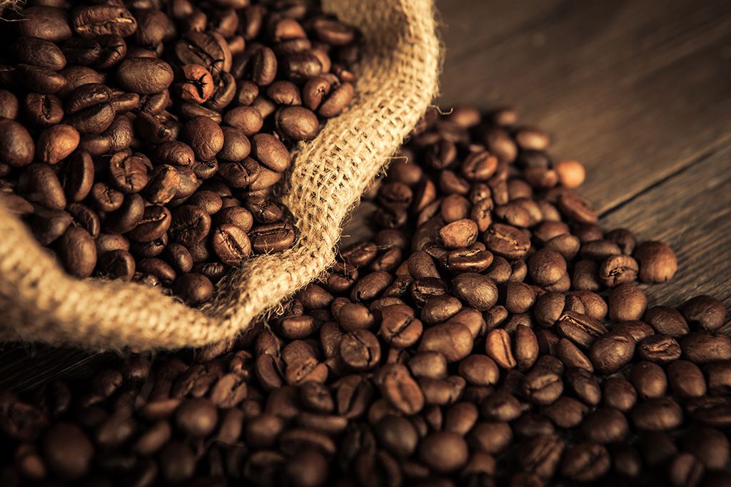 Cara Menyortir Biji Kopi Sebelum Disangrai agar Hasil Seragam